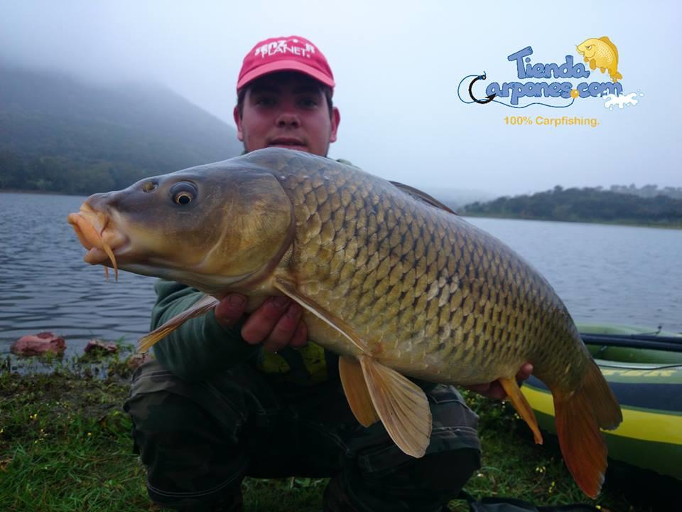 SENZOR PLANET IN SPANIA 2014 - Boilies 1016